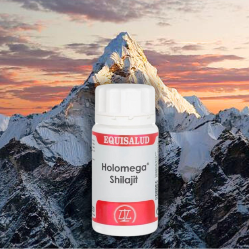 Imagen Shilajit LP google ads